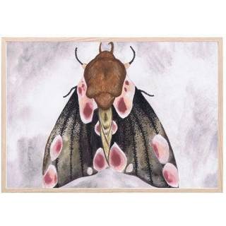 That's Mine Plakat A Moth's Beauty 30x40