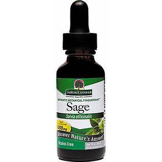 Salviebladsekstrakt - 30 ml