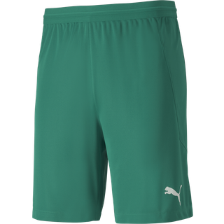 Puma teamFINAL 21 knit Shorts 70425705 Størrelse S