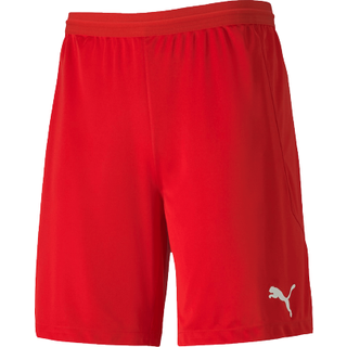 Puma teamFINAL 21 knit Shorts 70425701 Størrelse L
