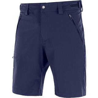 Salomon Wayfarer Herreshorts