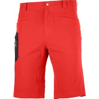 Salomon Wayfarer Herreshorts