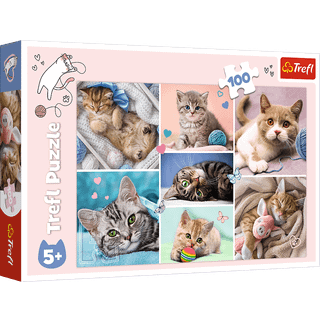 TREFL i Cat World 100 Piece Jigsaw Puzzle Red 16 """" X11 """" Print DIY Puzzle Creative Fun Classic Puzzle för vuxna och barn från 5 år gamla