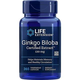 Ginkgo Biloba, certificeret ekstrakt, 120mg - 365 vcaps