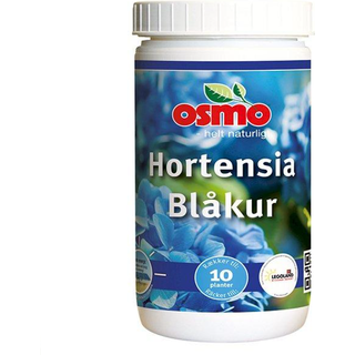 Hortensia Blåkur