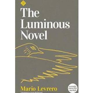 The Luminous Novel