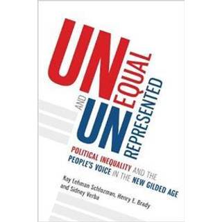Unequal and Unrepresented