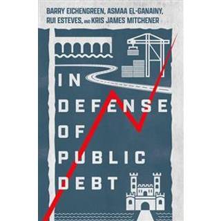 In Defense of Public Debt