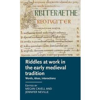 Riddles at Work in the Early Medieval Tradition