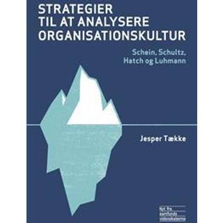 Strategier til at analysere organisationskultur