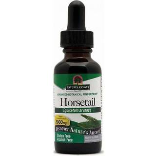 Brændenældeekstrakt, 2000 mg - 30 ml