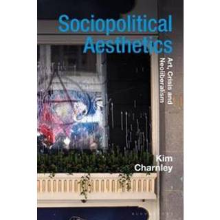Sociopolitical Aesthetics
