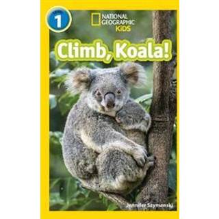 Climb, Koala!