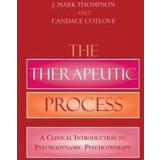 The Therapeutic Process