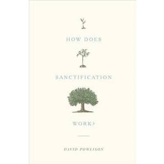 How Does Sanctification Work?