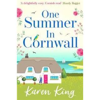 One Summer in Cornwall