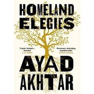Homeland Elegies