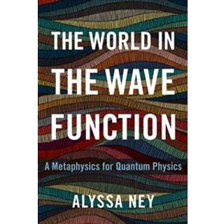The World in the Wave Function