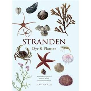 Stranden Dyr og Planter