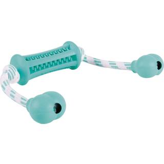 Trixie Denta Fun Stick with Rope - Mint Flavour 9x37cm