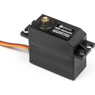 HPI-110650 SS-40WP Servo 10 kg