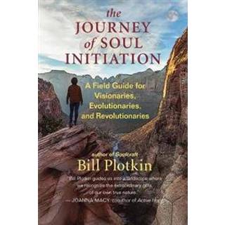 The Journey of Soul Initiation