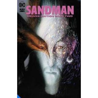 The Sandman: The Deluxe Edition Book Two