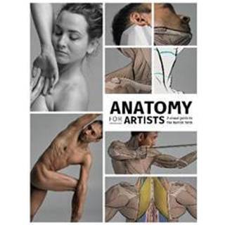 Anatomy for Artists