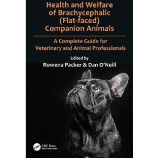 Health and Welfare of Brachycephalic (Flat-faced) Companion Animals