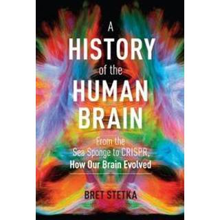 A History of the Human Brain