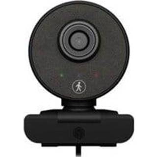 RaidSonic ICY BOX IB-CAM501-HD 1920 x 1080 Webcam Fortrådet