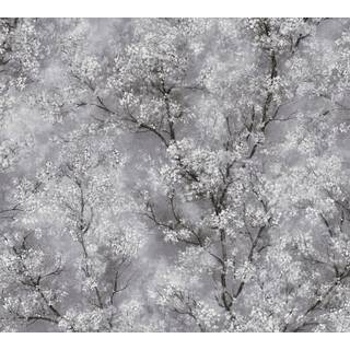 New Walls Wallpaper Treescape 37420-1
