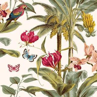Albany Wallpaper Tropical Palm JF2001
