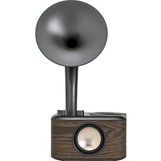 Sangean CP-100D Radio - DAB/DAB+