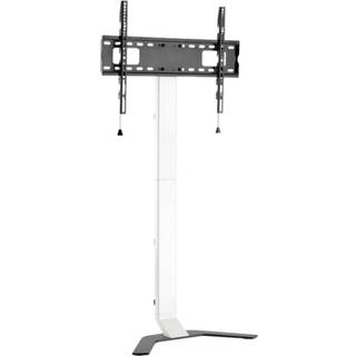 Reflecta TV Stand 80 Super Slim 40 kg 80" 200 x 200 mm
