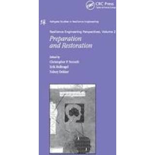 Resilience Engineering Perspectives, Volume 2