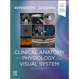 Clinical Anatomy and Physiology of the Visual System