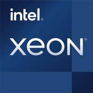 Intel Xeon E-2386G / 3.5 GHz processor - OEM CPU - 6 kerner - 3.5 GHz - Intel LGA1200 - Bulk (ingen køler)