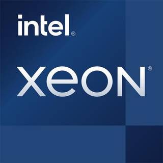 Intel Xeon E-2314 / 2.8 GHz processor - OEM CPU - 4 kerner - 2.8 GHz - Intel LGA1200 - Bulk (ingen køler)
