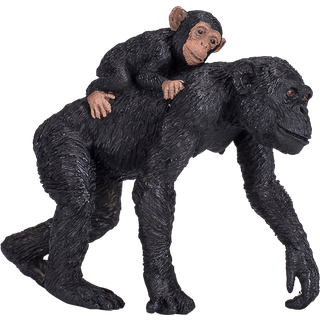 Mojo Chimpanse og unge