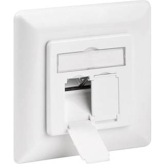 Cat6 Dataudtag med 2 x RJ45 stik - Hvid