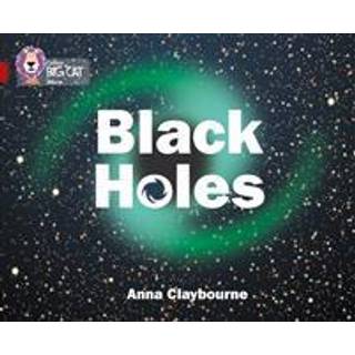 Black Holes