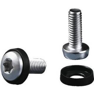 Rittal DK Multi-tooth screw M5x16