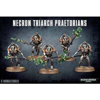 Warhammer 40k: Necrons - Triarch Praetorians / Lychguard
