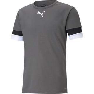 Puma Herre teamRISE Sport træningstrøjer Grå