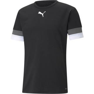 Puma Herre teamRISE Sport træningstrøjer Sort