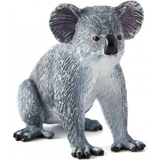 Mojo Koala