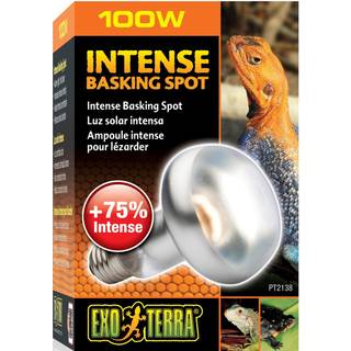 EXO TERRA Sun Glo intense basking spot 100 w m/UVA