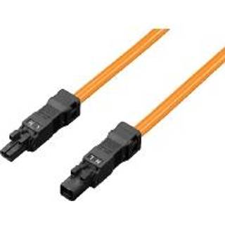 Rittal Sz through - wiring 2 pole