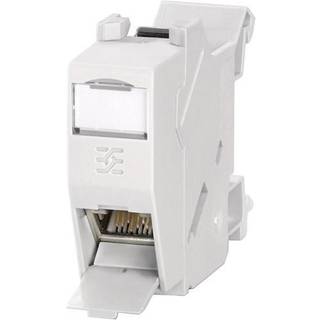 Weidmuller Koblingsmondul IE-XM-RJ45/IDC